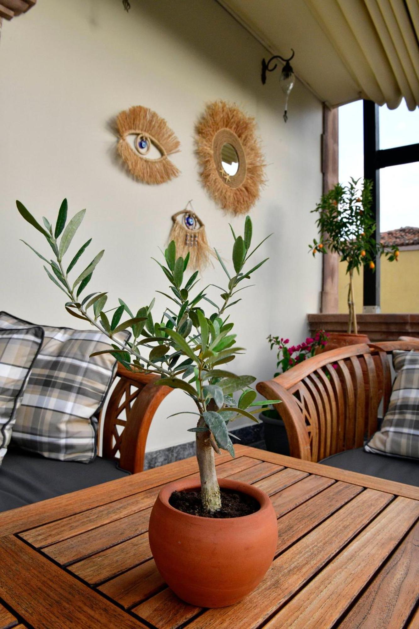 فندق Siyah Lale Cunda 1841 (Adults Only) Ayvalı المظهر الخارجي الصورة