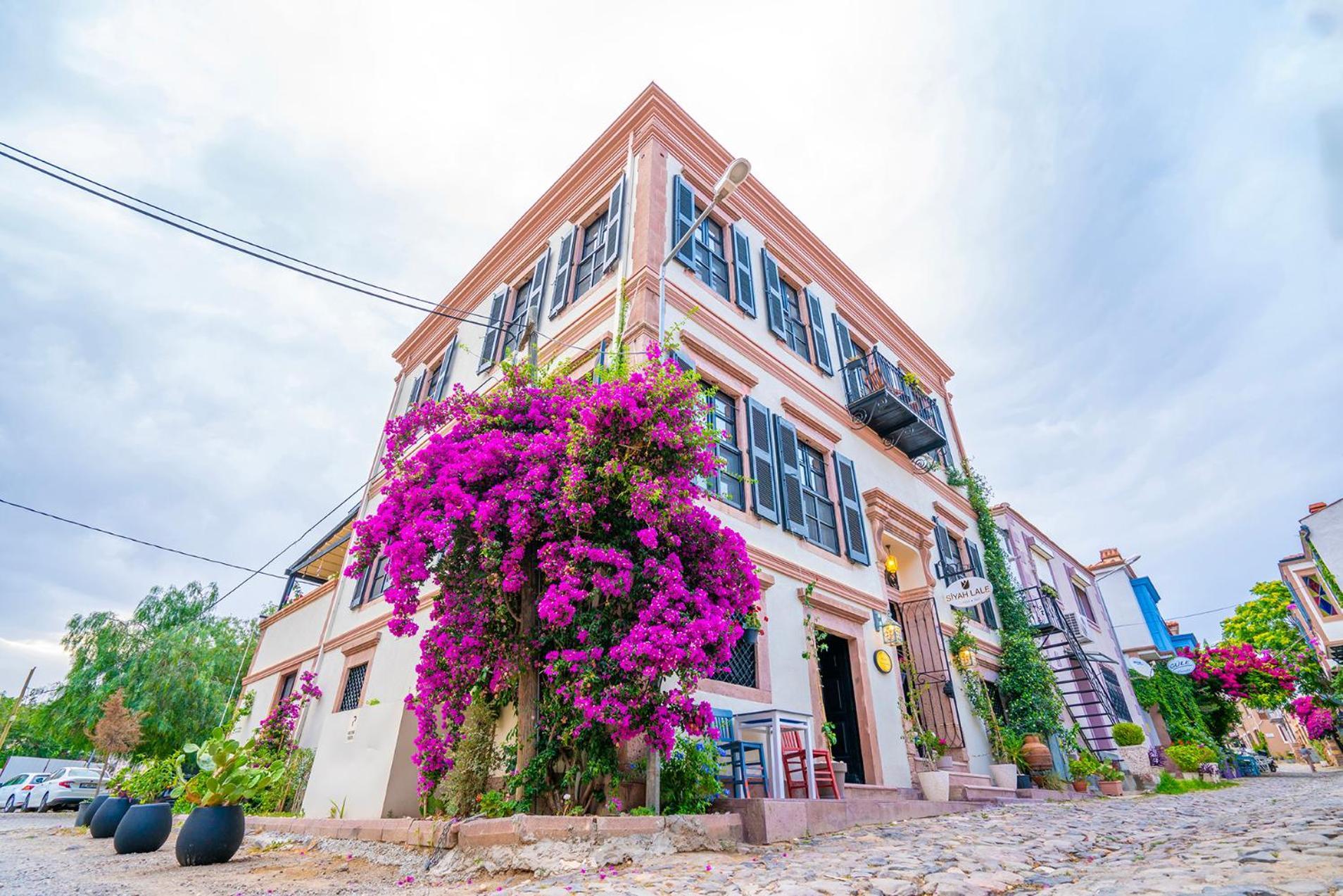 فندق Siyah Lale Cunda 1841 (Adults Only) Ayvalı المظهر الخارجي الصورة