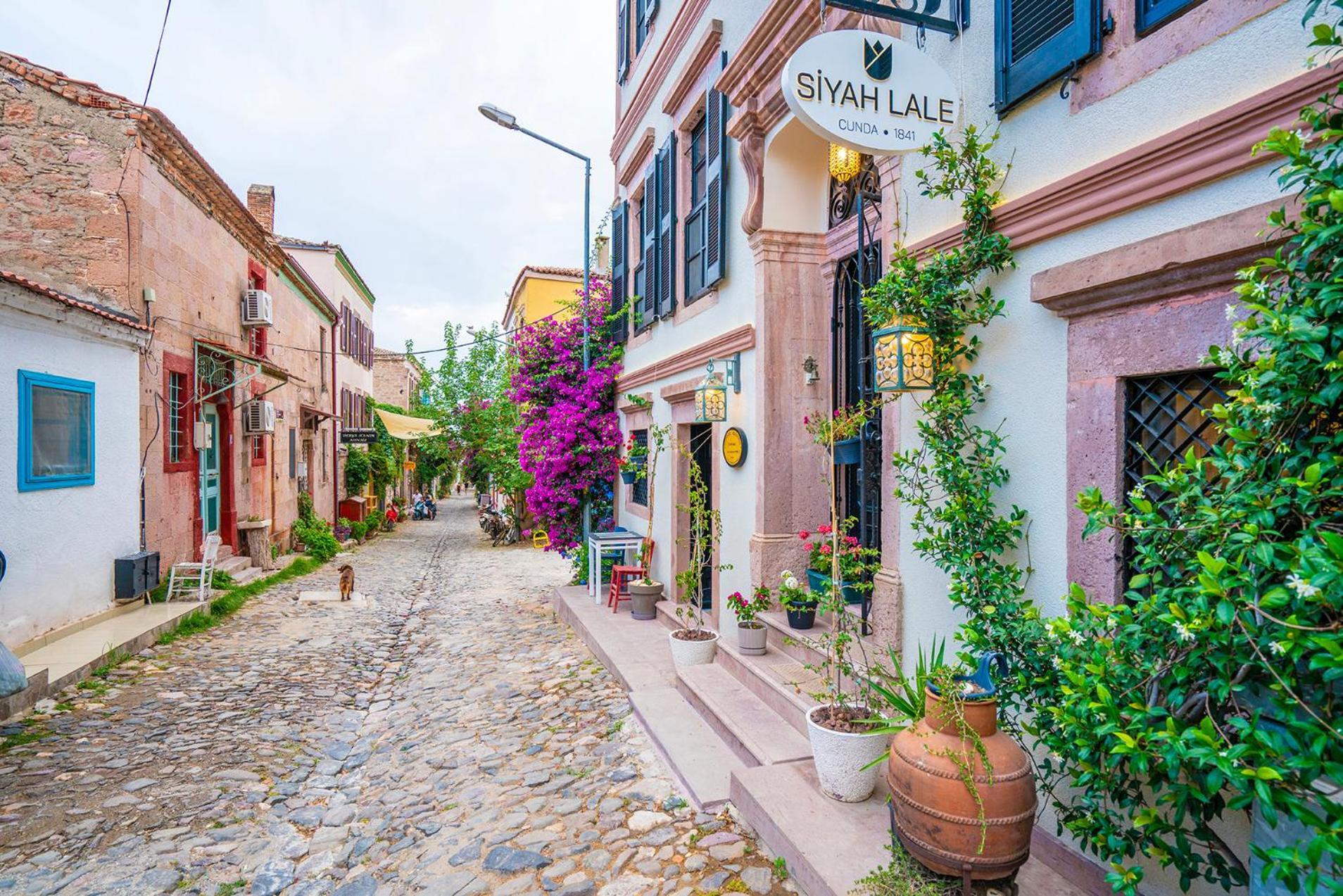 فندق Siyah Lale Cunda 1841 (Adults Only) Ayvalı المظهر الخارجي الصورة