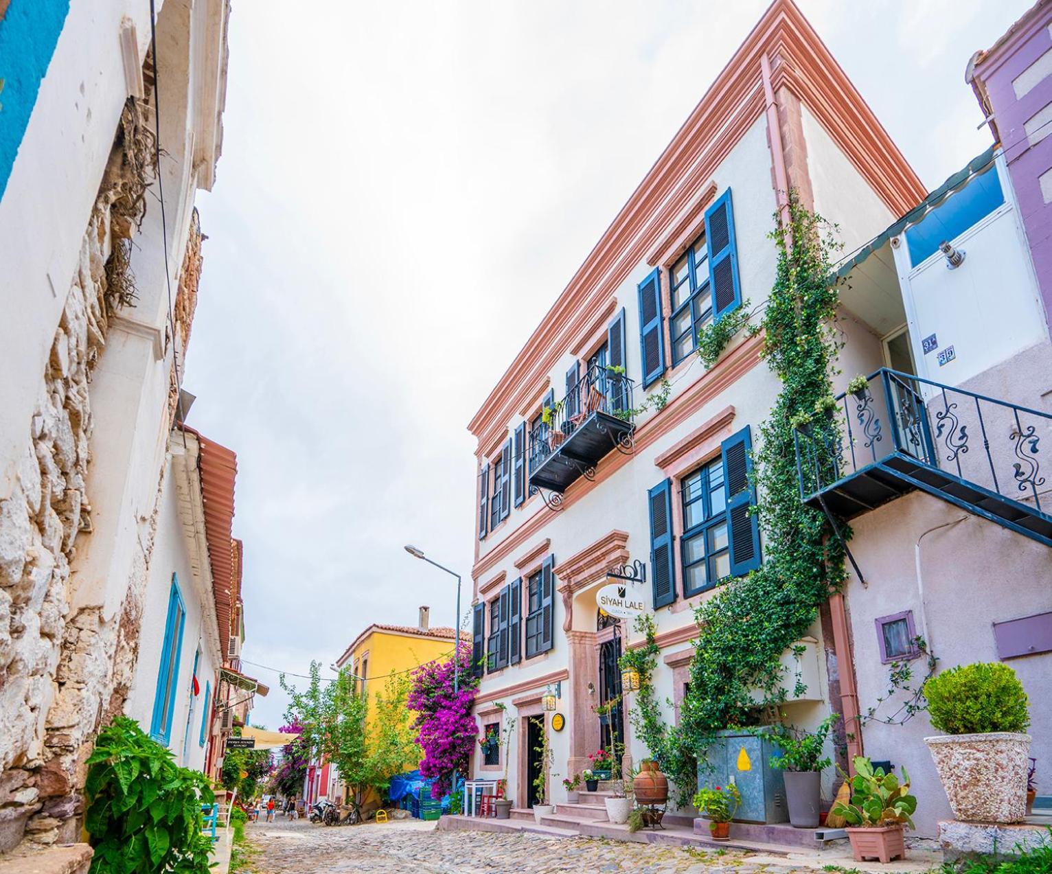 فندق Siyah Lale Cunda 1841 (Adults Only) Ayvalı المظهر الخارجي الصورة